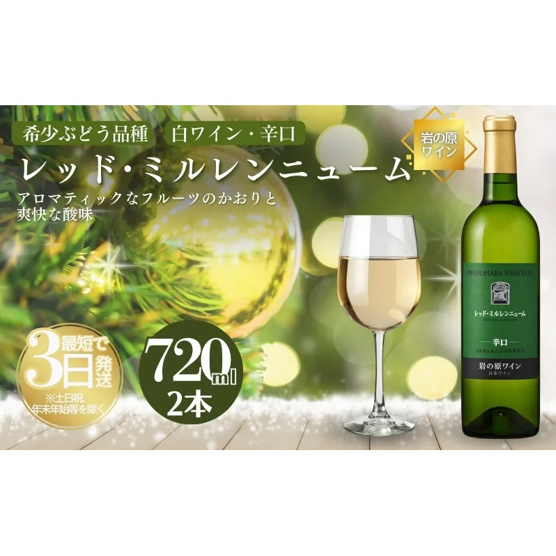 ワイン 岩の原ワイン レッド・ミルレンニューム 2本 720ml 希少ぶどう品種 辛口 お酒 希少 ぶどう 岩の原 新潟 上越 最短3日で発送 お届け：7日以内にお届けします。
