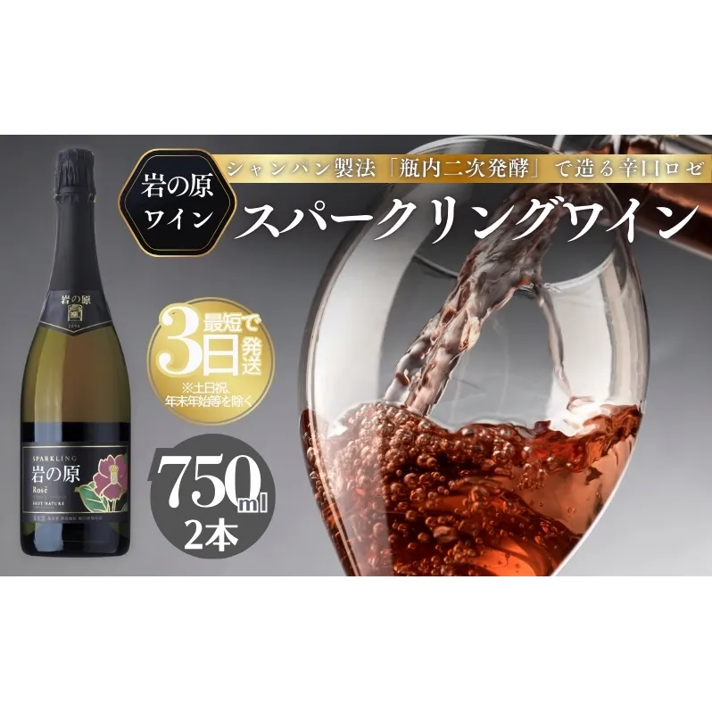 ワイン 岩の原スパークリングワイン ロゼ 瓶内二次発酵 2本 （750ml） お酒 岩の原 酒 新潟 上越 最短3日で発送 岩の原ワイン