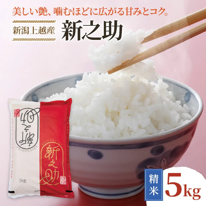 令和8年産 新潟県上越市産 新之助 5kg 5キロ しんのすけ 新米 先行予約 蛍の里