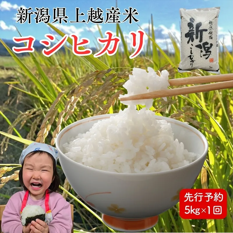 令和8年産 先行予約 新潟県上越市産 コシヒカリ 5kg 5キロ 新米 精米 米 新潟県産 こしひかり 限定 おすすめ 米ヴィレッジさんわ