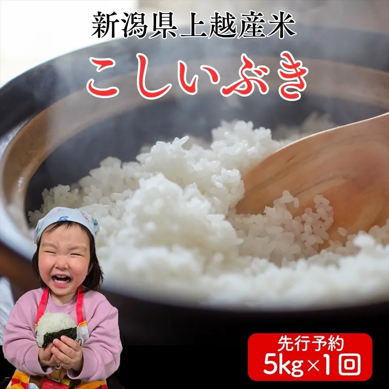 令和8年産 先行予約 新潟県上越市産 こしいぶき 5kg 5キロ 新米 精米 米 新潟県産 限定 おすすめ 米ヴィレッジさんわ