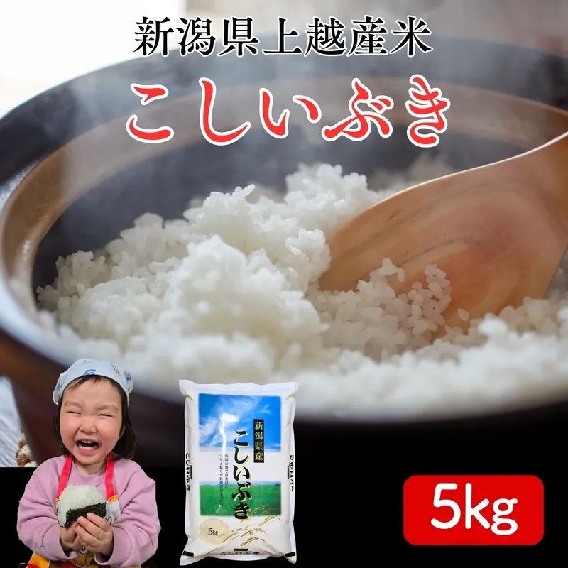 令和8年産 先行予約 新潟県上越市産 こしいぶき 5kg 5キロ 新米 精米 米 新潟県産 限定 おすすめ 米ヴィレッジさんわ