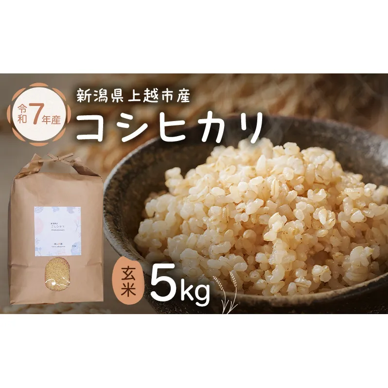 新潟県特別栽培農作物 玄米 新潟県上越市産 横山農園 コシヒカリ 令和7年産 5kg（5kg×1袋）こしひかり お米 ご飯 送料無料