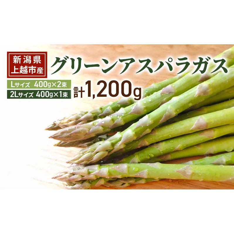 グリーン アスパラガス Lサイズ 400g×2束 ｜2Lサイズ 400g×1束 計1.2kg 令和8年産 国産 産地直送 冷蔵配送 新潟県上越市産 横山農園 