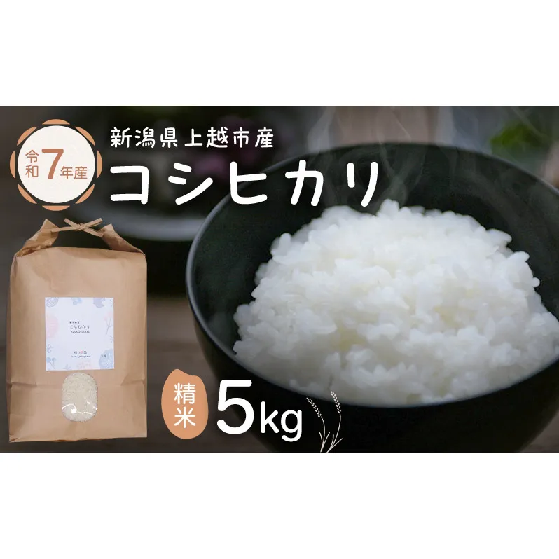 米 新潟県上越市産 横山農園 コシヒカリ 令和7年産 5kg（5kg×1袋）こしひかり お米 精米 米 ご飯 送料無料