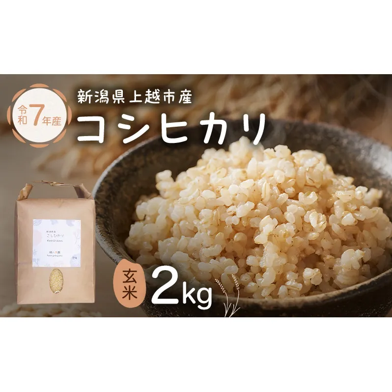 新潟県特別栽培農作物 玄米 新潟県上越市産 横山農園 コシヒカリ 令和7年産 2kg（2kg×1袋）こしひかり お米  ご飯 送料無料