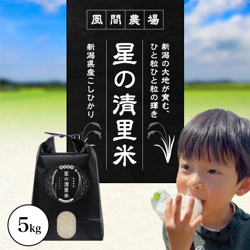 先行予約 令和8年 新潟県上越市産 従来 コシヒカリ 精米済 5kg 5キロ こしひかり お米 米 精米 送料無料