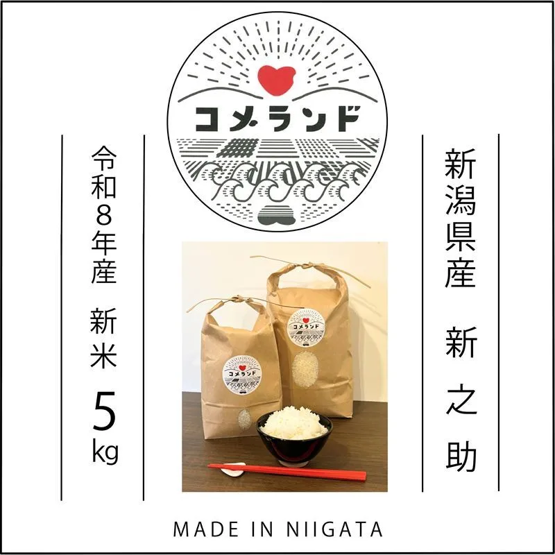 令和8年産 新潟県上越市産 新之助 5kg 5キロ 新米 先行予約 精米 新潟県上越市板倉区 コメランド しんのすけ
