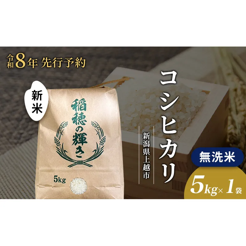 先行予約 令和8年 新米 無洗米 新潟県上越市産 コシヒカリ 5kg 5キロ お米 コメ こしひかり 澤井商事