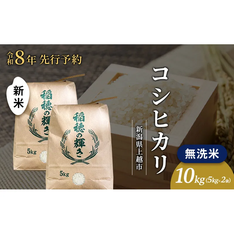 先行予約 令和8年 新米 無洗米 新潟県上越市産 コシヒカリ 10kg（5kg×2袋）  お米 コメ こしひかり 澤井商事