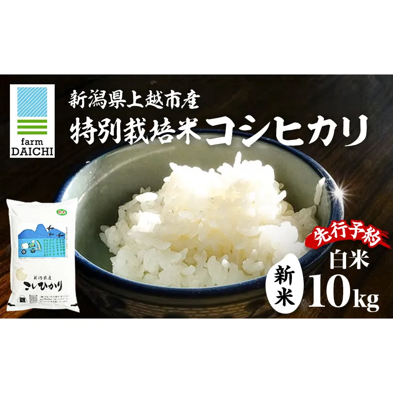 先行予約 令和8年 新米 新潟県上越市産 特別栽培米 コシヒカリ 10kg (5kg×2袋)お米 コメ こしひかり ふぁーむ大地