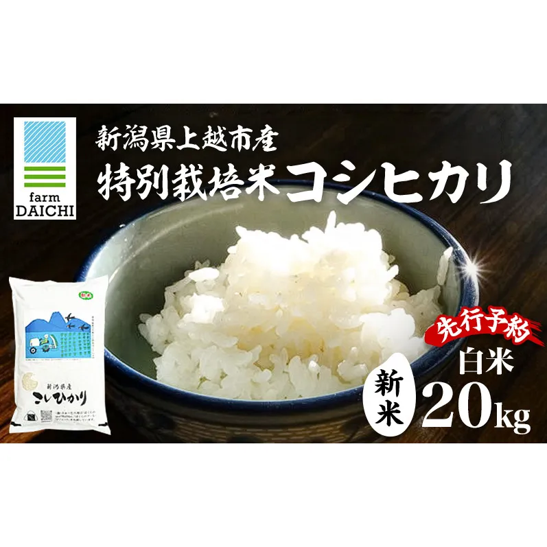 先行予約 令和8年 新米 新潟県上越市産 特別栽培米 コシヒカリ 20kg (5kg×4袋)お米 コメ こしひかり ふぁーむ大地