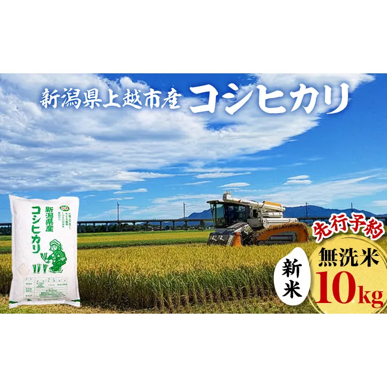 先行予約 令和8年 新米 新潟県上越市産 無洗米 コシヒカリ 10kg (5kg×2袋)お米 コメ こしひかり ふぁーむ大地