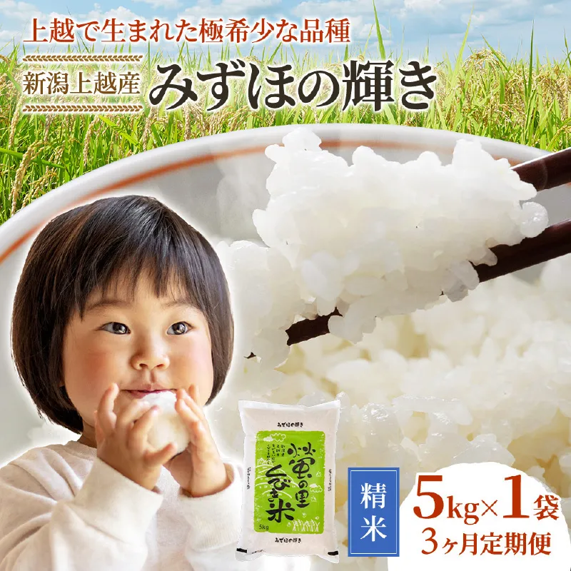 【精米したて！】 令和8年産 新潟県上越市産 みずほの輝き 定期便 5kg×3回 15kg 新米 先行予約 蛍の里