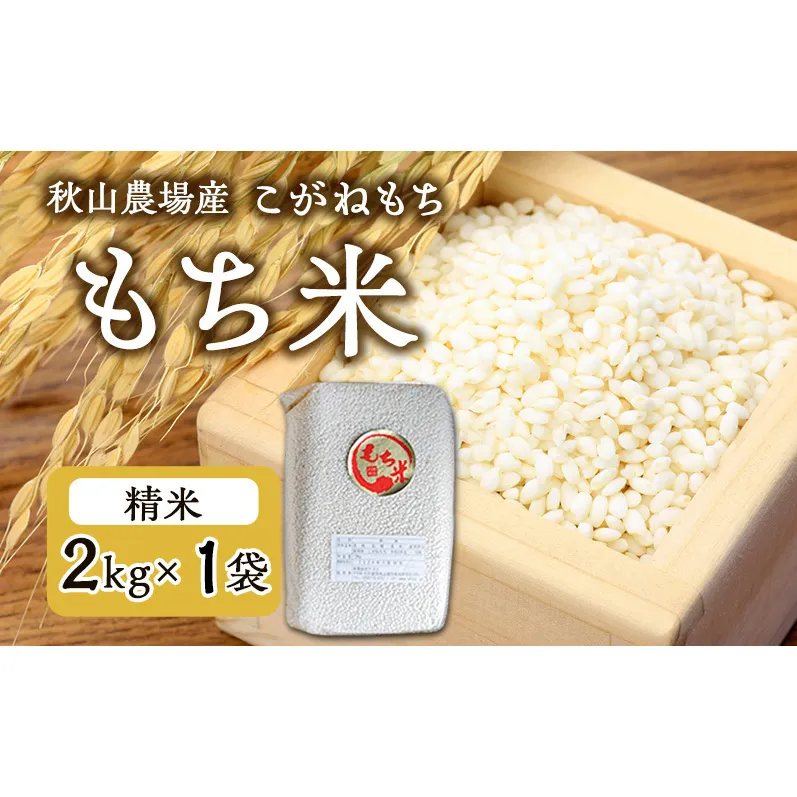先行予約 令和8年産 【もち米】【真空パック】新潟産こがねもち 2Kg×1袋 新潟 上越 アフコ 秋山農場