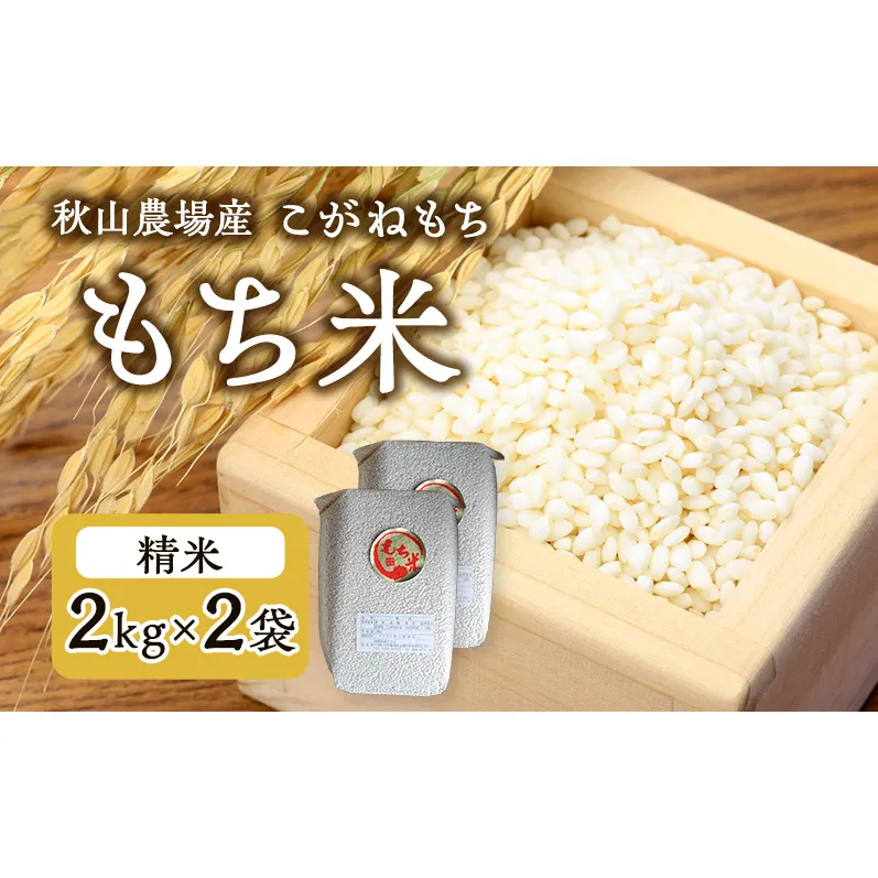 先行予約 令和8年産 【もち米】【真空パック】新潟産こがねもち 2Kg×2袋 新潟 上越 アフコ 秋山農場
