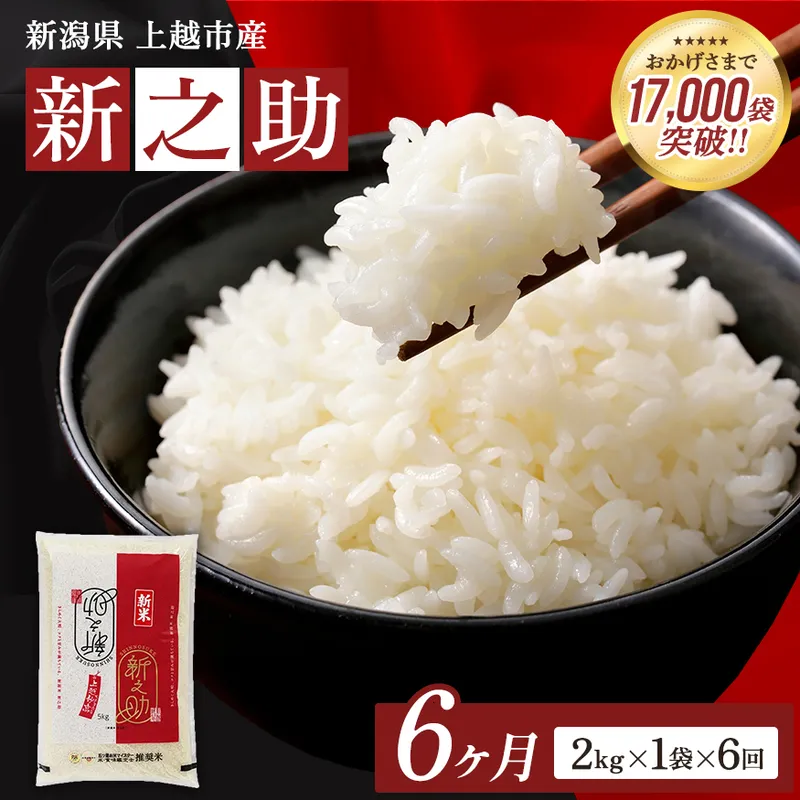 【令和8年産 先行予約】 新之助 無洗米 新潟県 上越産 2kg 6か月 定期便 しんのすけ 五つ星お米マイスターのいるお店 お米 精米 米 ご飯 大黒屋商店