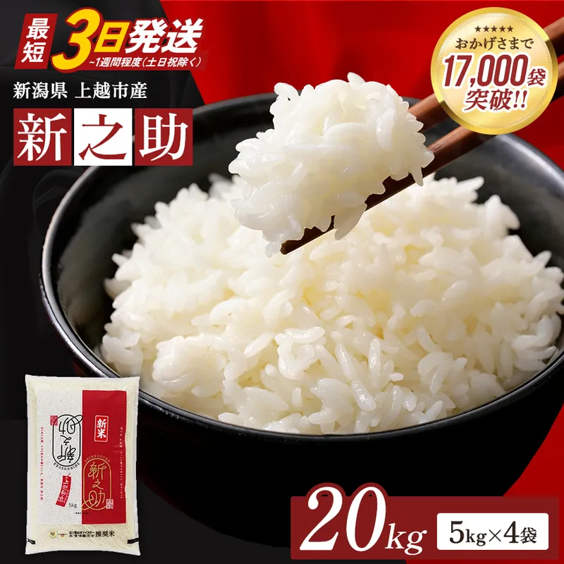 【最短3日発送】令和7年産 新之助 無洗米 新潟県 上越産 20kg (5kg×4) しんのすけ 五つ星お米マイスターのいるお店 お米 精米 米 ご飯 大黒屋商店