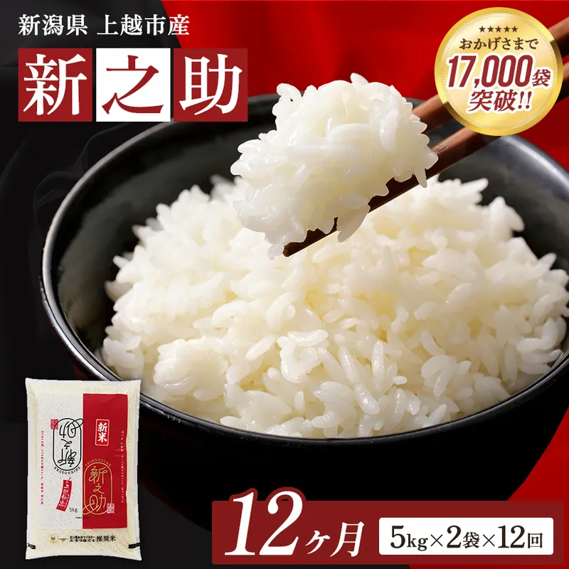 9月開始  新之助 無洗米 新潟県 上越産 10kg (5kg×2) 12か月 定期便 しんのすけ 五つ星お米マイスターのいるお店 お米 精米 米 ご飯 大黒屋商店