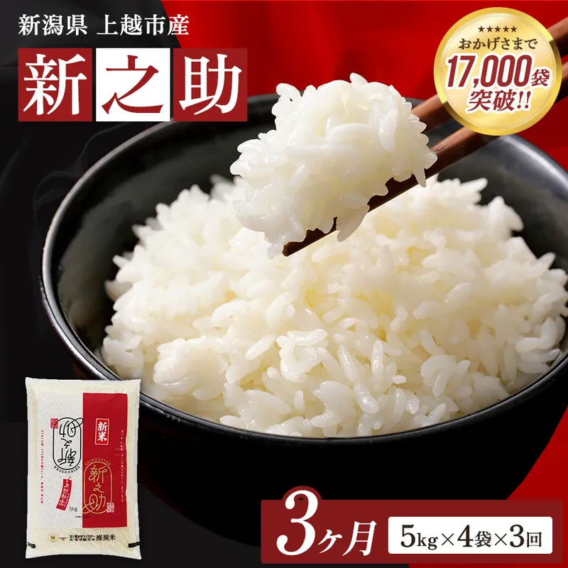 9月開始  新之助 無洗米 新潟県 上越産 20kg (5kg×4) 3か月 定期便 しんのすけ 五つ星お米マイスターのいるお店 お米 精米 米 ご飯 大黒屋商店