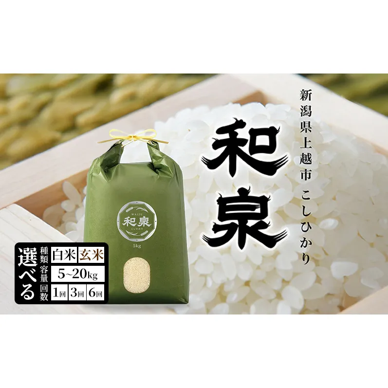先行予約 新米 令和8年 新潟県 上越産 こしひかり 5kg 5キロ 和泉 ワイズファーム 上越市 精米 米 ギフト 喜ばれる コシヒカリ
