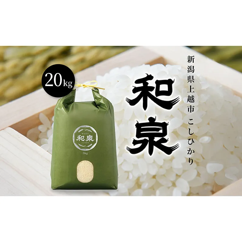 先行予約 新米 令和8年 新潟県 上越産 こしひかり 20kg （5kg×4袋） 和泉 ワイズファーム 上越市 精米 米 ギフト 喜ばれる コシヒカリ