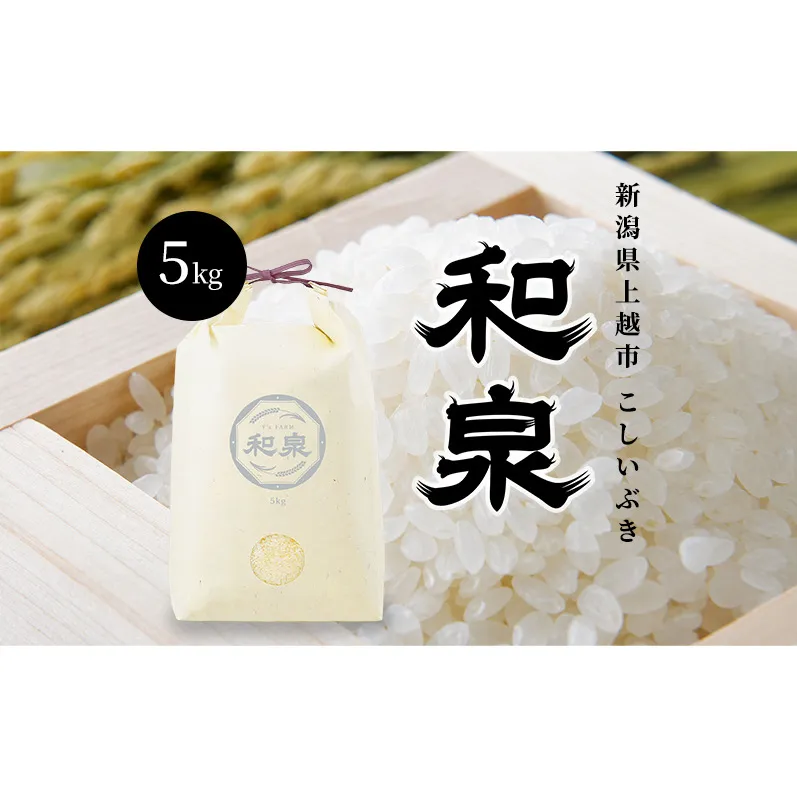 先行予約 新米 令和8年 新潟県 上越産 こしいぶき 5kg 5キロ 和泉 ワイズファーム 上越市 精米 米 ギフト 喜ばれる
