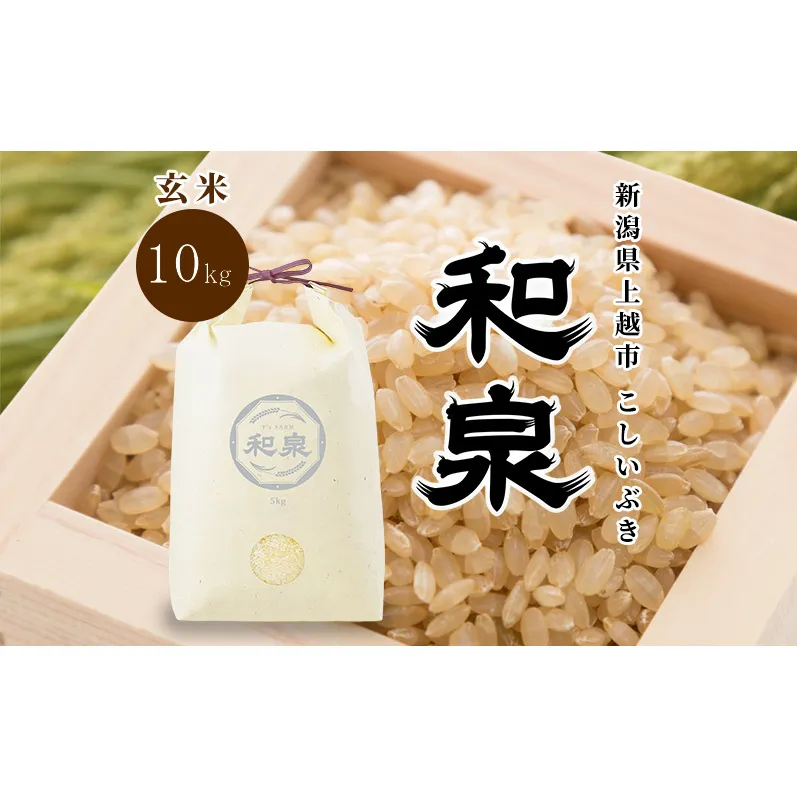 先行予約 玄米 令和8年 新潟県 上越産 こしいぶき 10kg （5kg×2袋） 和泉 ワイズファーム 上越市  米 ギフト 喜ばれる