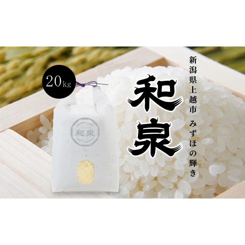 先行予約 新米 令和8年 新潟県 上越産 みずほの輝き 20kg （5kg×4袋） 和泉 ワイズファーム 上越市 精米 米 ギフト 喜ばれる