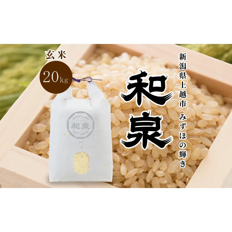 先行予約 玄米 令和8年 新潟県 上越産 みずほの輝き 20kg （5kg×4袋） 和泉 ワイズファーム 上越市  米 ギフト 喜ばれる