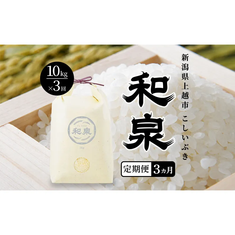 先行予約 新米 定期便3ヶ月配送 令和8年 新潟県 上越産 こしいぶき 10kg （5kg×2袋）×3回 和泉 ワイズファーム 上越市 精米 米 ギフト 喜ばれる