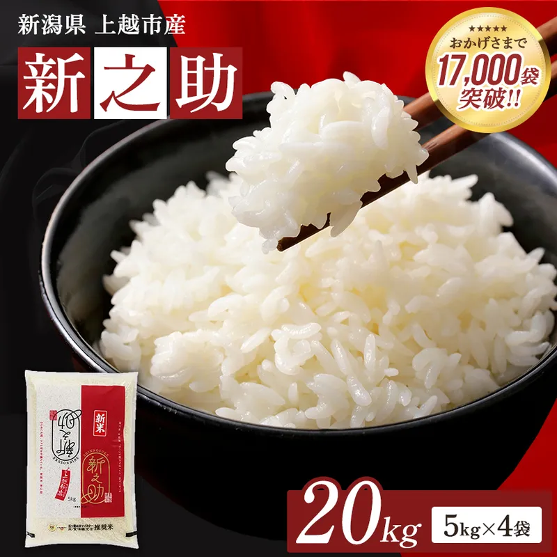 【1月上旬配送】令和8年（新米） 新潟県上越市産 新之助 20kg 無洗米 しんのすけ お米 精米 米 ご飯 五つ星お米マイスター 大黒屋商店