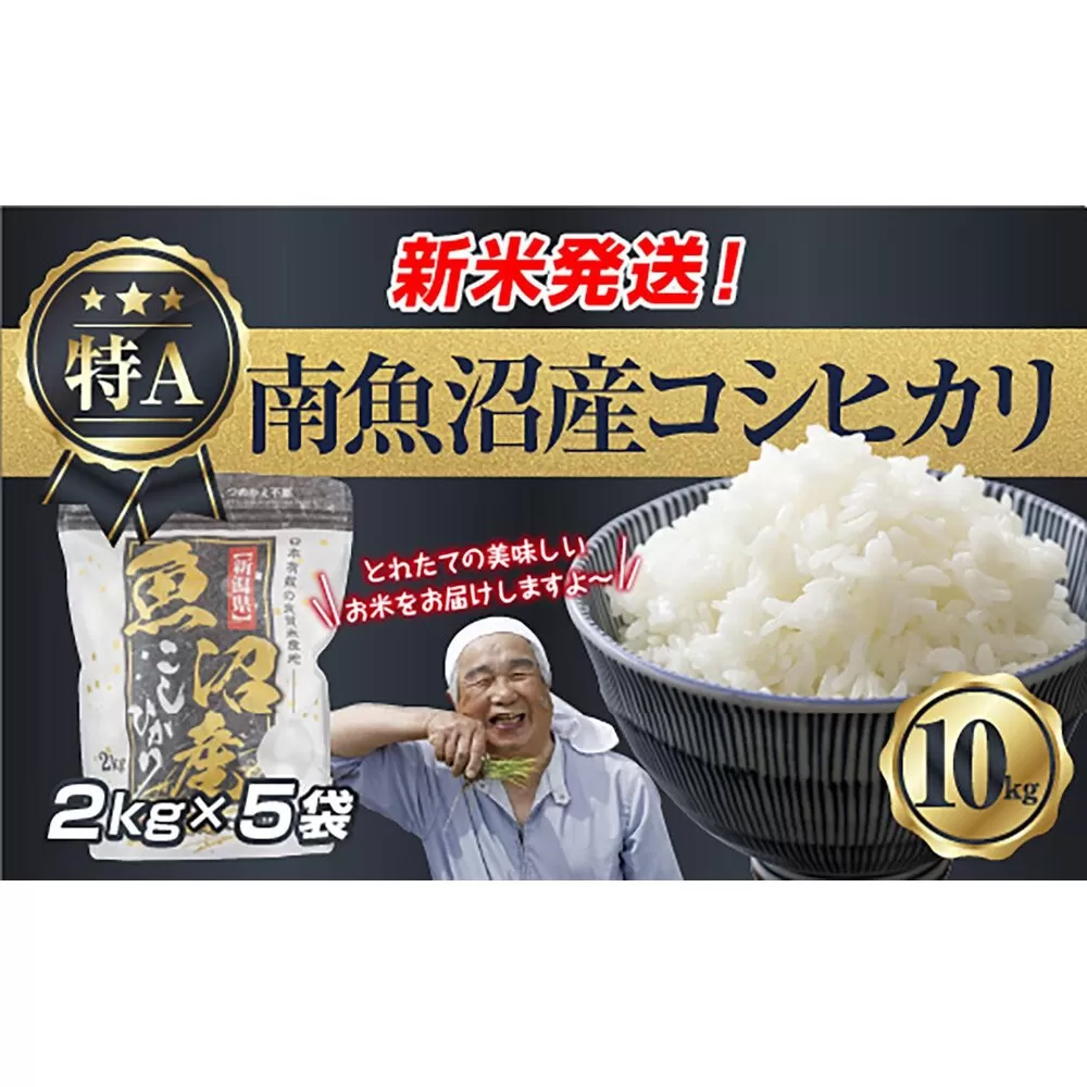 令和7年産 新潟県 南魚沼産 コシヒカリ お米 2kg×5袋 計 10kg 精米済み(お米の美味しい炊き方ガイド付き) お米 こめ 白米 こしひかり 食品 人気 おすすめ魚沼 南魚沼 南魚沼市 新潟県産 新潟県 精米 産直 産地直送
