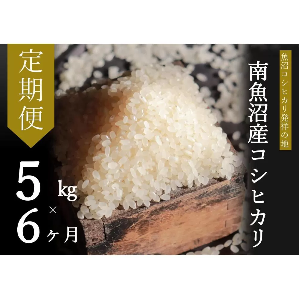 【令和7年産新米予約】【定期便・上旬お届け】5kg×6ヶ月　南魚沼産コシヒカリ【2025年10月上旬より順次発送予定】