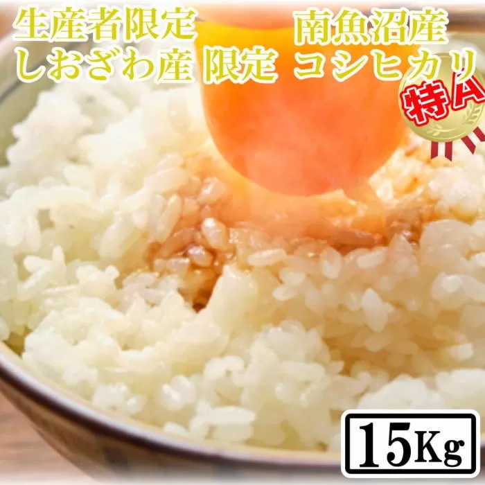 【令和7年産】【精米15kg】しおざわ産限定 生産者限定 南魚沼産コシヒカリ【2025年10月上旬より順次発送予定】