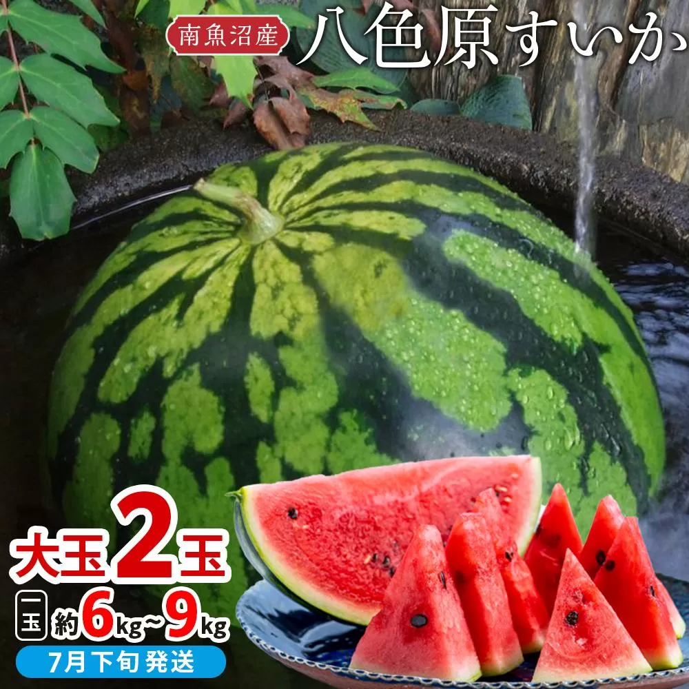 【先行予約】【新潟県 南魚沼産】八色原すいか大玉２玉【2026年7月下旬発送】【お届け日時指定不可】