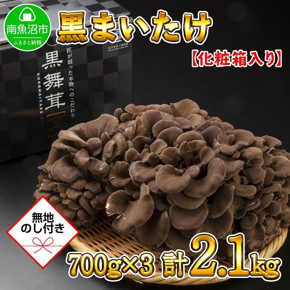 【無地のし】 新潟県 南魚沼産 厳選 国産 黒 高級 舞茸 まいたけ 産地直送 700g ×3箱 計2.1kg 贈り物 ギフト お中元 お歳暮 大平きのこ研究所
