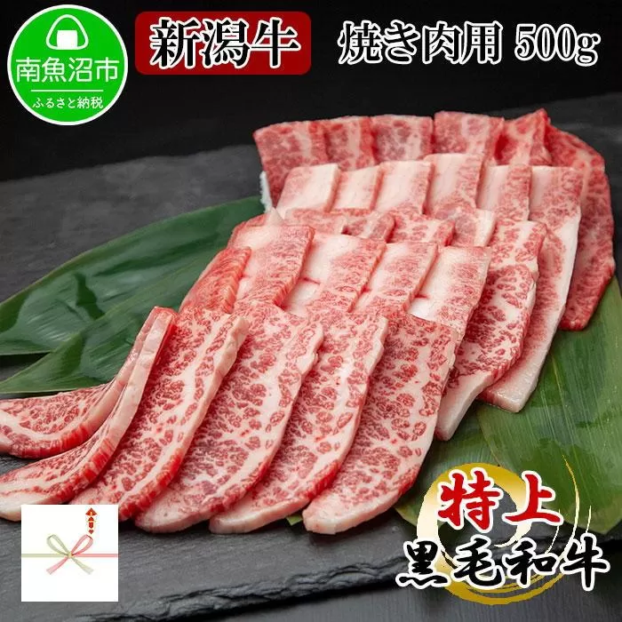 ES123 【無地熨斗】新潟和牛 南魚沼産 にいがた 黒毛和牛 焼き肉用 500ｇ 新潟県 南魚沼市