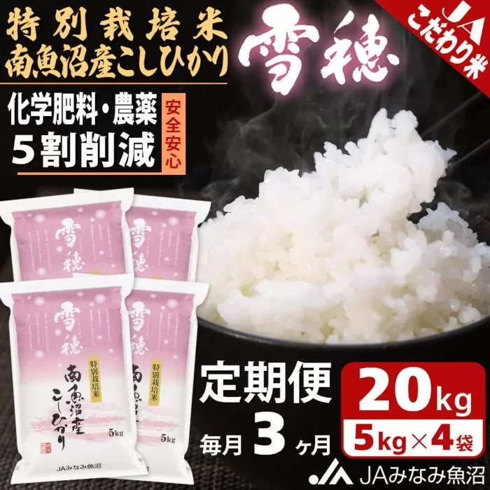 【JAみなみ魚沼定期便】特別栽培米南魚沼産こしひかり「雪穂」（20kg×全3回）精米 農薬5割削減 精米HACCP認定工場 特A獲得日本一産地 高品質精米 もっちり甘い 南魚沼産コシヒカリ