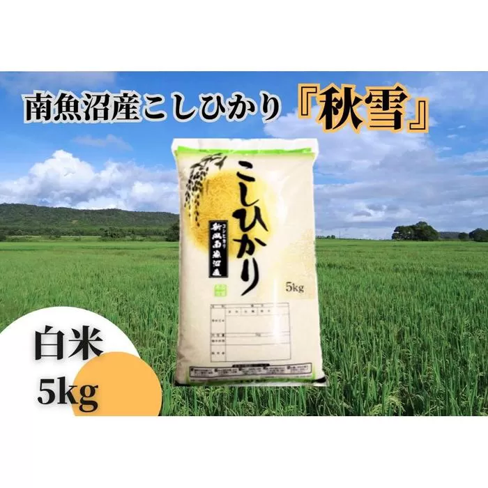 【令和7年産 新米予約】南魚沼産こしひかり「秋雪」白米５ｋｇ 新潟県の特A地区南魚沼市の美味しいお米【2025年（令和7年）10月上旬より順次発送予定】【米 お米 こしひかり 南魚沼 米 白米 こめ 新潟 米】