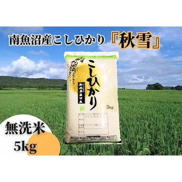 【令和7年産 新米予約 全６回定期便】南魚沼産コシヒカリ「秋雪」無洗米5kg×6回 新潟県の特A地区南魚沼市の美味しいお米【2025年（令和7年）10月上旬より順次発送予定】【米 お米 こしひかり 南魚沼 米 無洗米 こめ 新潟 米】