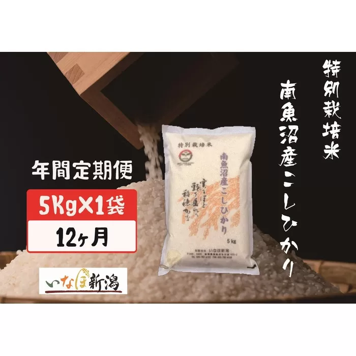 【令和7年度産】【定期配送】南魚沼産コシヒカリ特別栽培米 白米 5kg 全12回