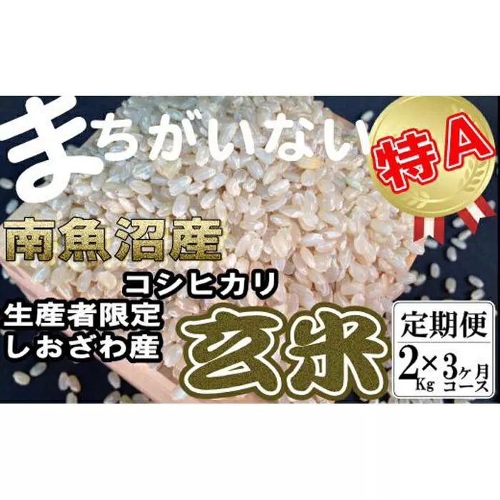 【令和7年産】【定期便】玄米 生産者限定 南魚沼しおざわ産コシヒカリ2Kg×3ヶ月【2025年10月上旬より順次発送予定】