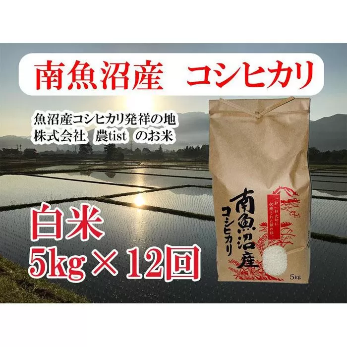 【令和7年産】【定期便 南魚沼産】コシヒカリ 白米5kg×12回【2025年9月中旬より順次発送予定】