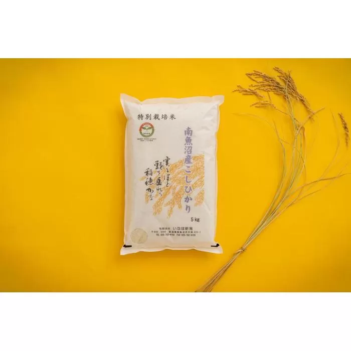 【令和7年産】 南魚沼産コシヒカリ「特別栽培米(アファス認証)」精米5kg【新潟県 特A地区】