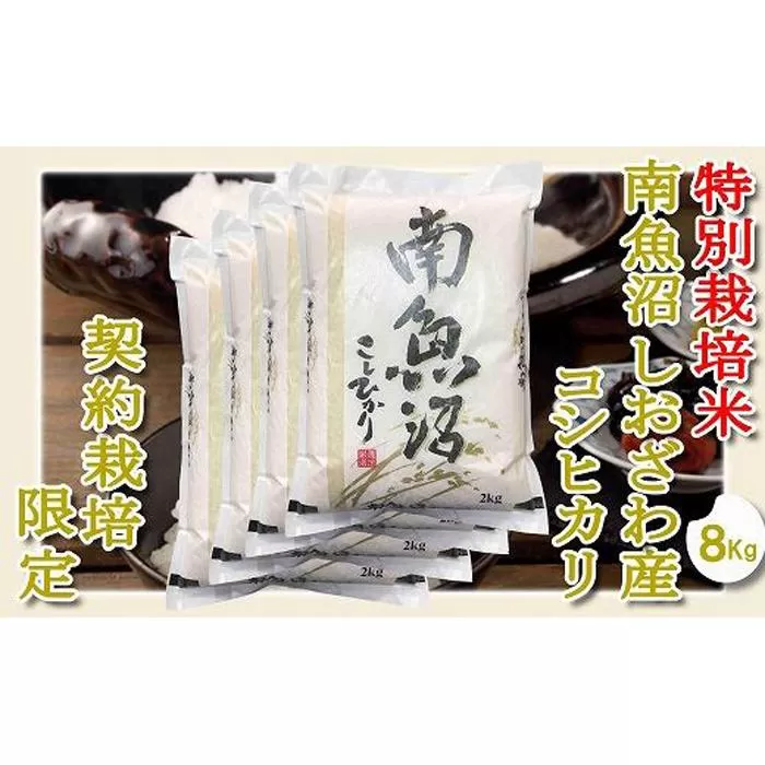 【令和7年産】【精米８Kg】特別栽培 生産者限定  南魚沼しおざわ産コシヒカリ【2025年10月上旬より順次発送予定】