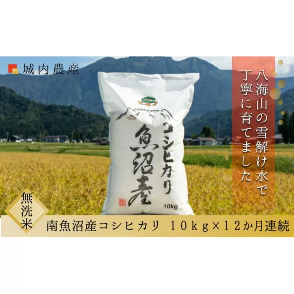 【令和７年産新米予約】【お米定期便/全１２回】南魚沼産コシヒカリ　無洗米１０ｋｇ＜５割減農薬栽培米＞城内農産【2025年10月上旬より順次発送予定】