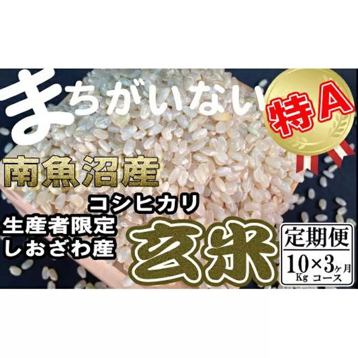 【令和7年産】【定期便】玄米 生産者限定 南魚沼しおざわ産コシヒカリ10Kg×3ヶ月【2025年10月上旬より順次発送予定】