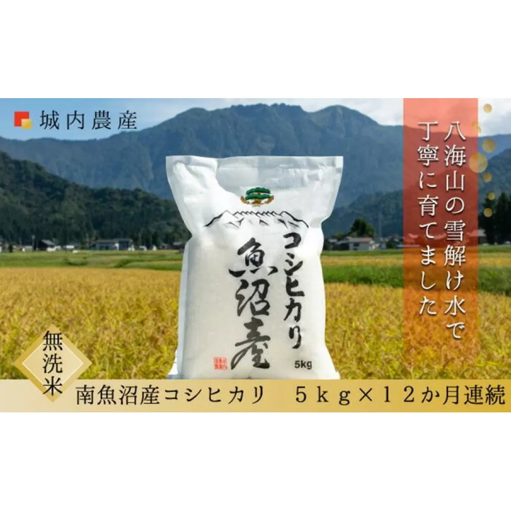 【令和７年産新米予約】【お米定期便/全１２回】南魚沼産コシヒカリ　無洗米５ｋｇ＜５割減農薬栽培米＞城内農産【2025年10月上旬より順次発送予定】