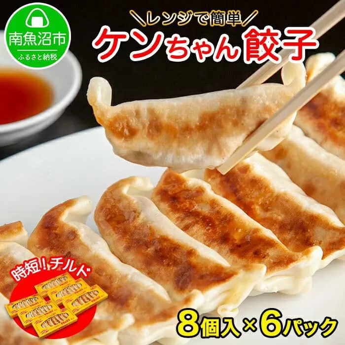 ES147 新潟県 南魚沼市 チルド手焼き餃子 8個入り × 6パック 計48個 ケンちゃん餃子 冷蔵 中華 点心 惣菜 ビール お取り寄せ グルメ